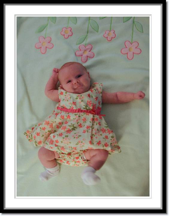 Click for the original image